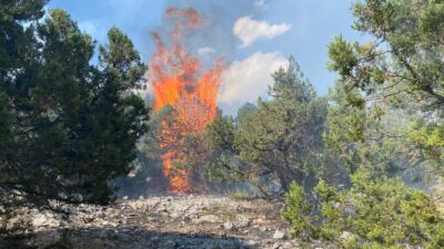 Kahramanmaraş Ekinözü ilçesinde çıkan orman yangınında ekipler çalışmalarını sürdürüyor. Yangına