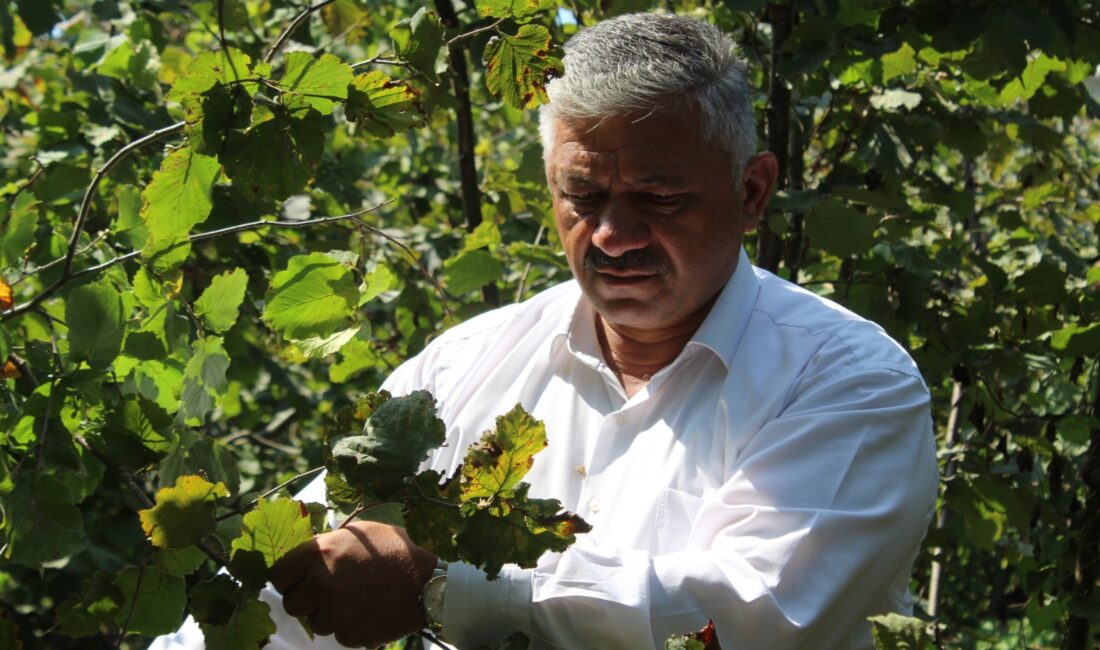 ORDU, – TÜRKİYE Ziraat Odaları Birliği (TZOB) Yönetim Kurulu Üyesi