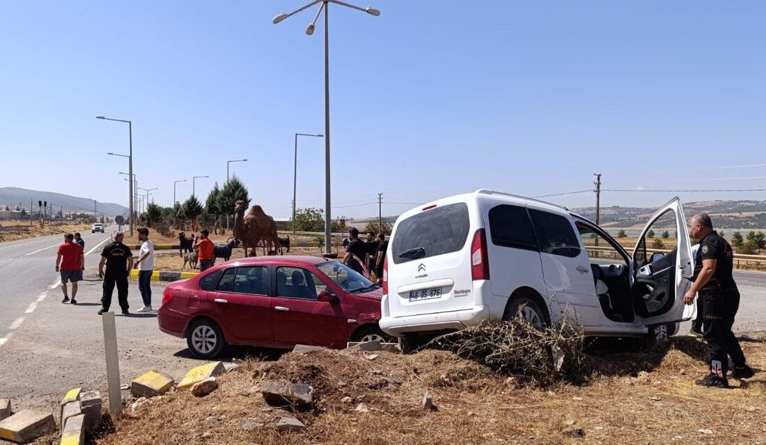 Kahramanmaraş’ın Pazarcık ilçesinde yaşanan trafik kazası korkuttu.