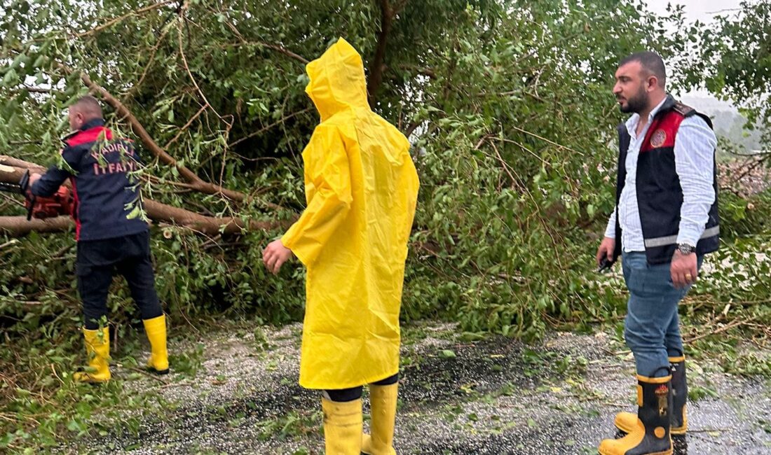 Kadirli’de etkili olan sağanak ve fırtına nedeniyle çok sayıda ağaç
