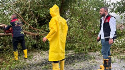 Kadirli’de etkili olan sağanak ve fırtına nedeniyle çok sayıda ağaç