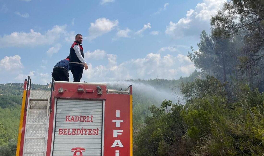 Kadirli’de çıkan orman yangını büyümeden söndürüldü. Çigdemli köyü Galalar rampası