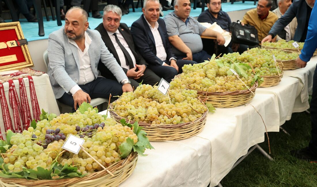 Dulkadiroğlu Belediyesi, 28. Geleneksel Bertiz Boyalı Kısa Şalvar Güreşleri Festivali