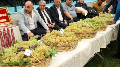Dulkadiroğlu Belediyesi, 28. Geleneksel Bertiz Boyalı Kısa Şalvar Güreşleri Festivali