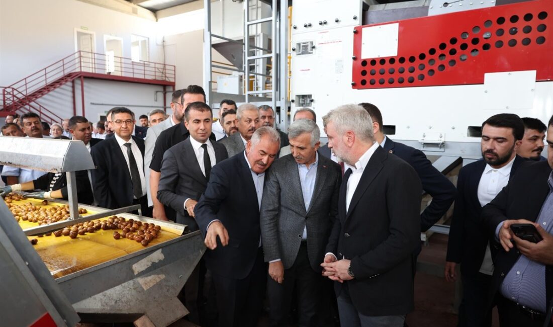 Kahramanmaraş Valisi Mükerrem Ünlüer, 8. Çağlayancerit Ceviz ve Kültür Festivali’ne