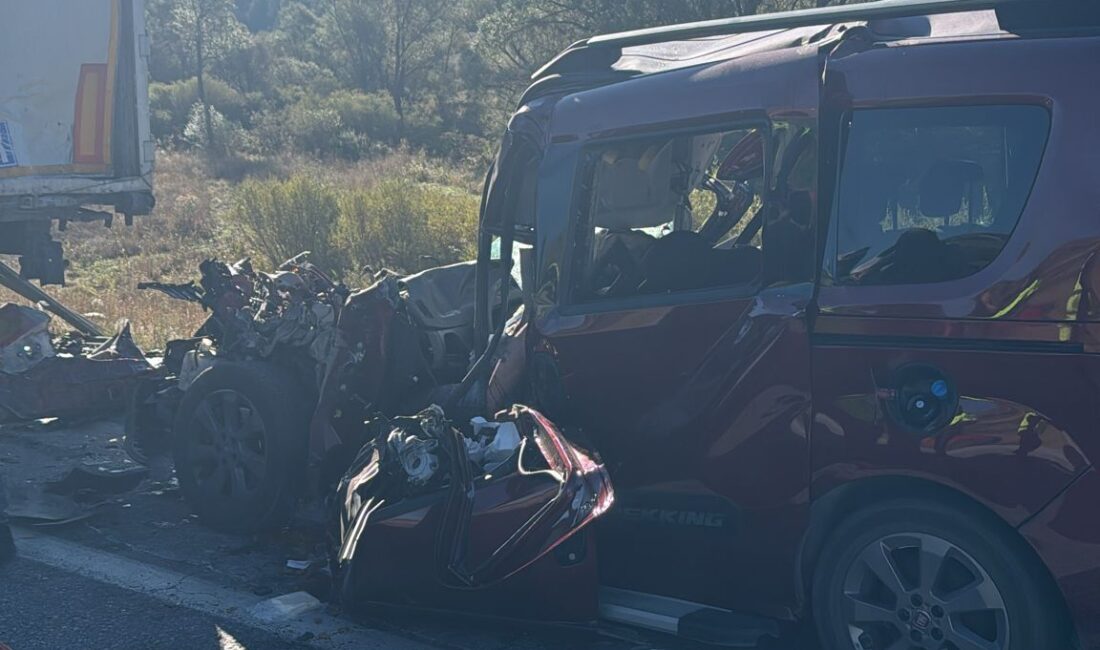 Muzaffer KOŞAN/ERZİNCAN, – ERZİNCAN’da park halindeki TIR’a arkadan çarpan hafif