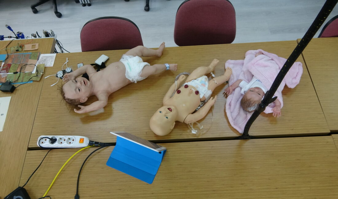 Mehmet Can PEÇE/RİZE, – RİZE Recep Tayyip Erdoğan Üniversitesi’nden (RTEÜ)