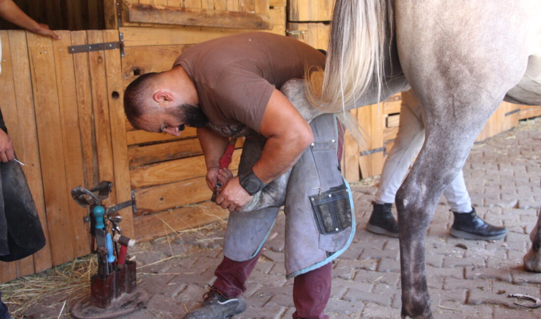 Oğuzhan EKE/BOLU, – KARABÜK Üniversitesi Eflani Meslek Yüksekokulu Atçılık ve