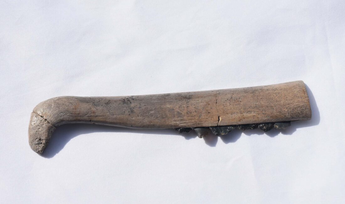 Kadir ÖZEN/İZMİR, – İZMİR’in Kemalpaşa ilçesindeki Ulucak Höyüğü’nde yapılan kazı