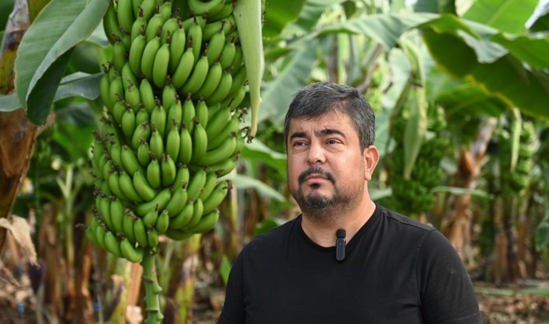 Osmaniye’nin Sumbas ilçesinde yaşayan Mustafa Güvel, devletten aldığı yüzde 50