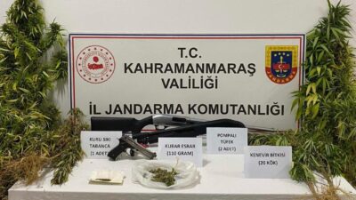 Kahramanmaraş’ta jandarma ekipleri düzenlediği operasyonla evinde keneviri yetiştiren 1 kişi