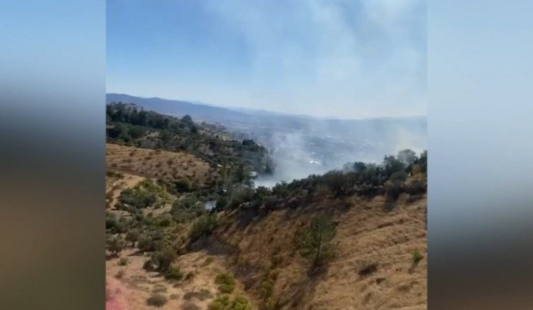 Kahramanmaraş’ın Dulkadiroğlu ilçesinde orman yangını çıktı. 