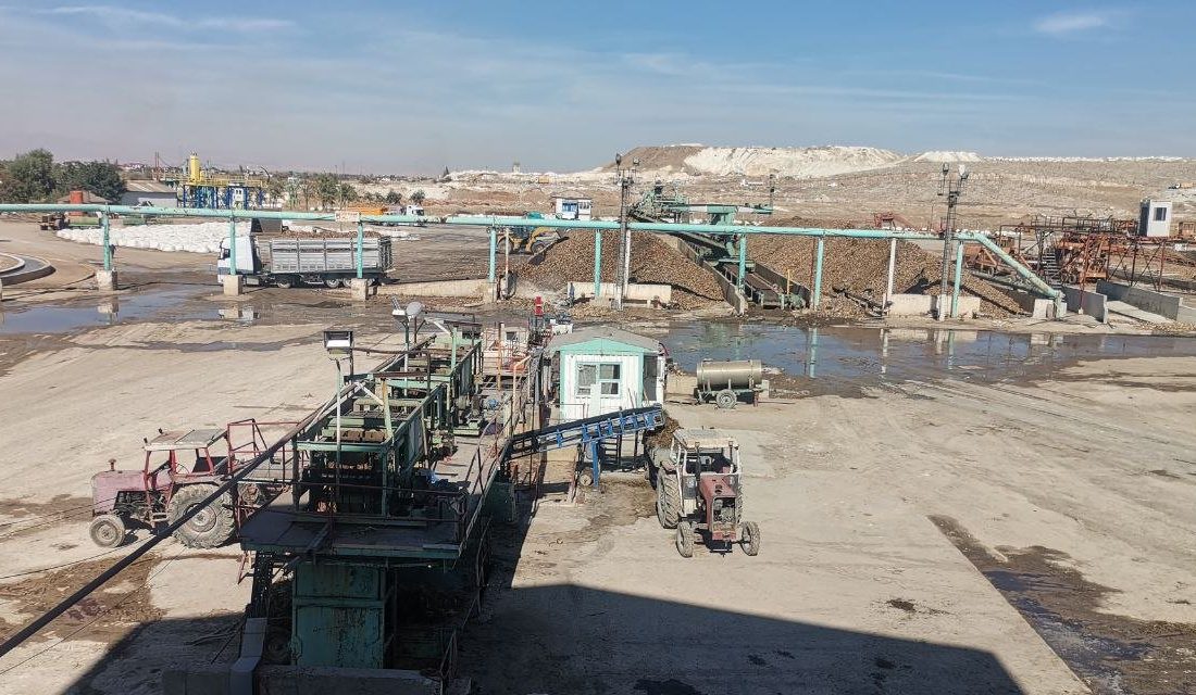 Kahramanmaraş'ta bu yıl 518 bin ton pancar rekoltesi beklenirken, hasat