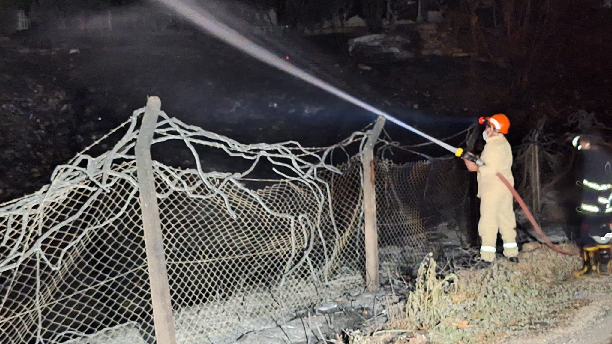 Adana'da Seyhan Baraj Gölü kıyısındaki ağaçlıkta yangın (2)