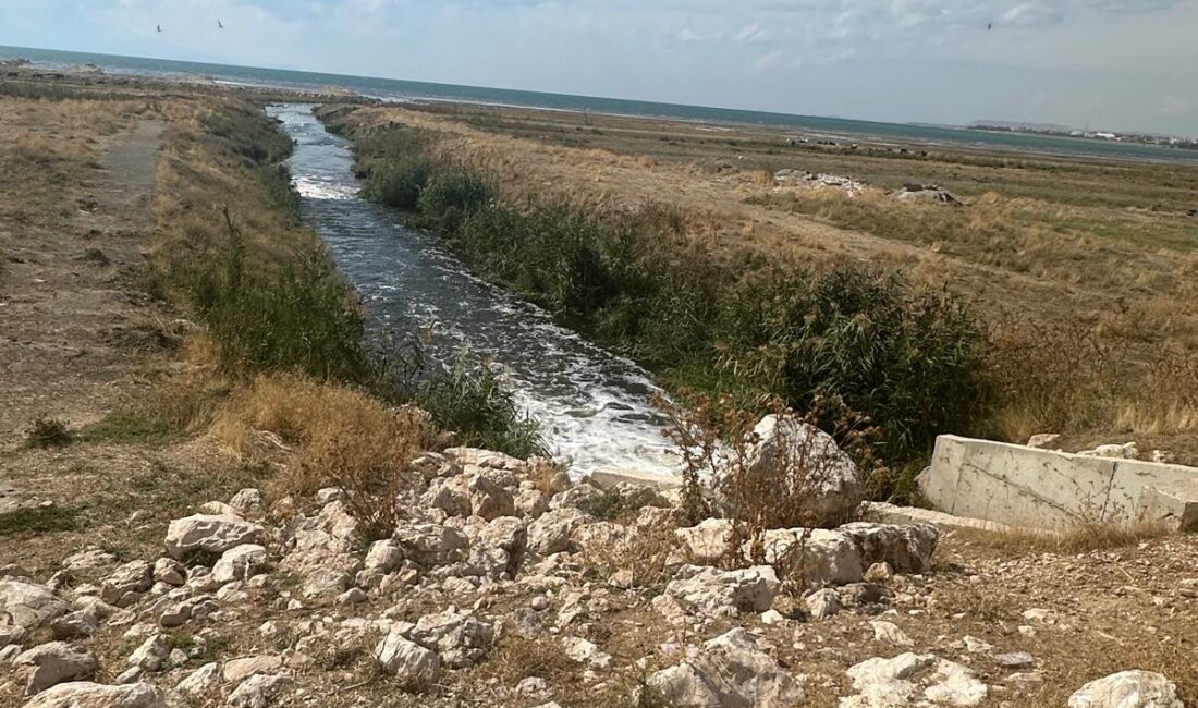 ANKARA, -ÇEVRE, Şehircilik ve İklim Değişikliği Bakanlığı, Van Büyükşehir Belediyesi’ne