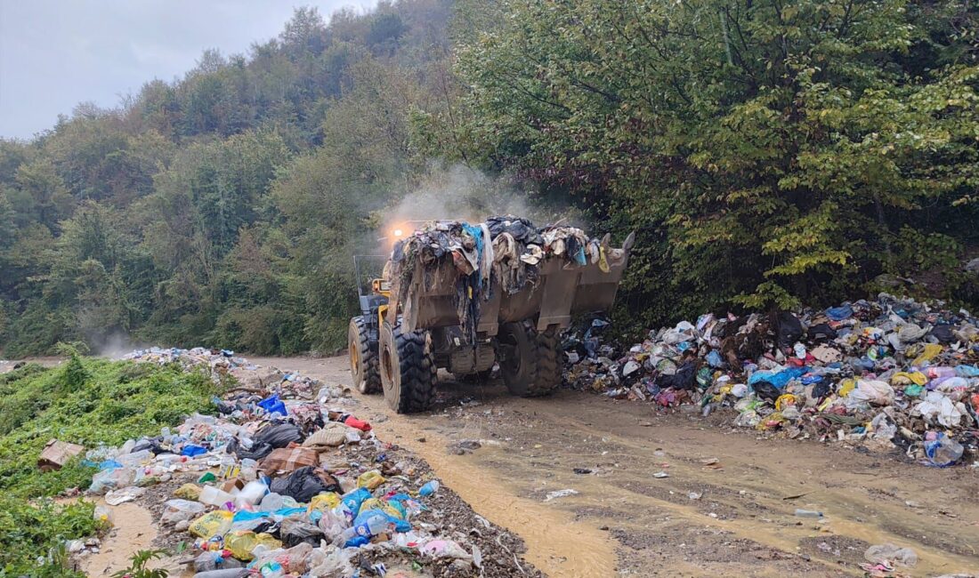 Ayhan ACAR/BARTIN, -BARTIN’da vahşi