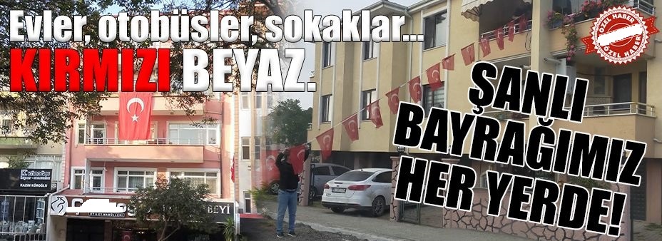 bayrak 1