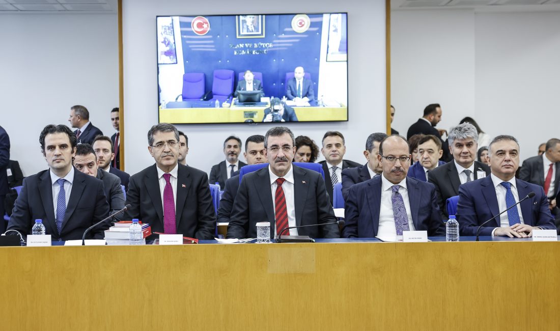 Aliekber METE/ ANKARA, – CUMHURBAŞKANI Yardımcısı Cevdet Yılmaz, Cumhurbaşkanlığı Hükümet