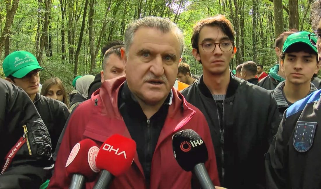 Veli GÜLCAN- Feridun AÇIKGÖZ / İSTANBUL – GENÇLİK ve Spor