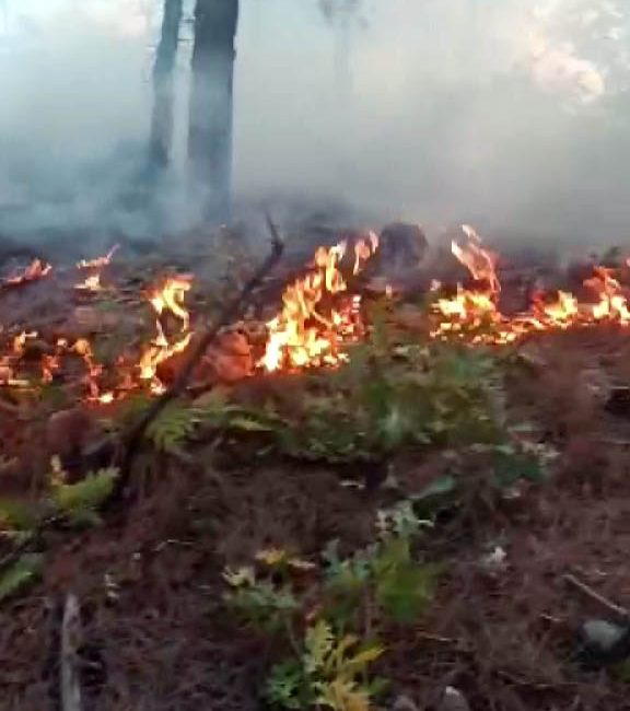 Ömer KOÇ/KAHRAMANMARAŞ, – KAHRAMANMARAŞ’ta çıkan orman yangını, ekiplerin 98 saatlik