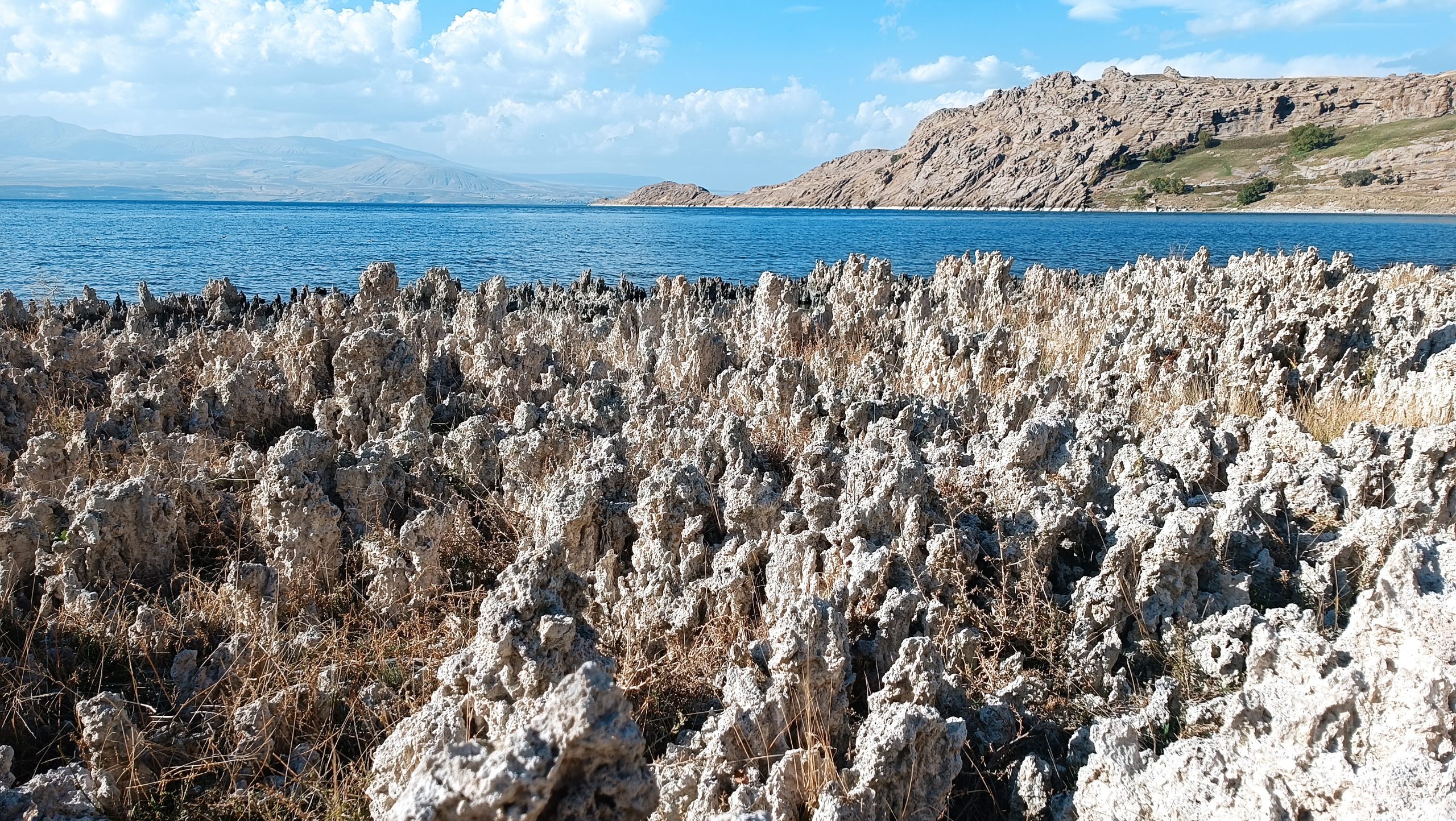 Van Gölü'nde kıyılar, mikrobiyalit tarlasına döndü