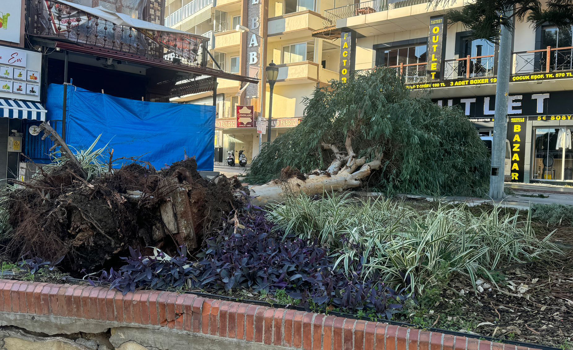 Antalya'da fırtına ağaçları devirdi, seraları yıktı (4)