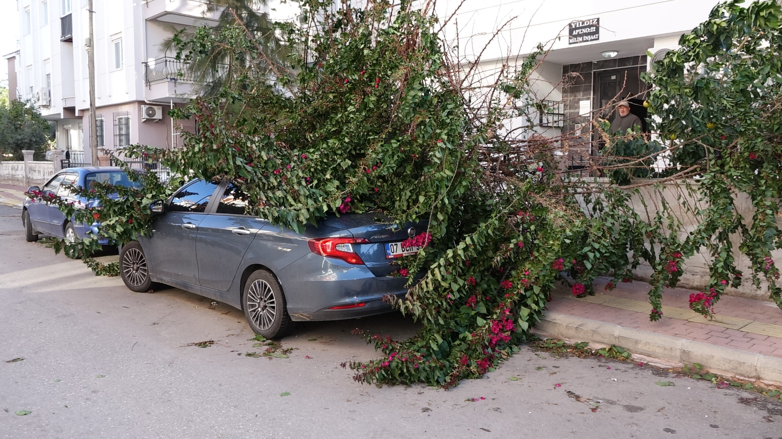 Antalya'da fırtına ağaçları devirdi, seraları yıktı / Ek fotoğraflar