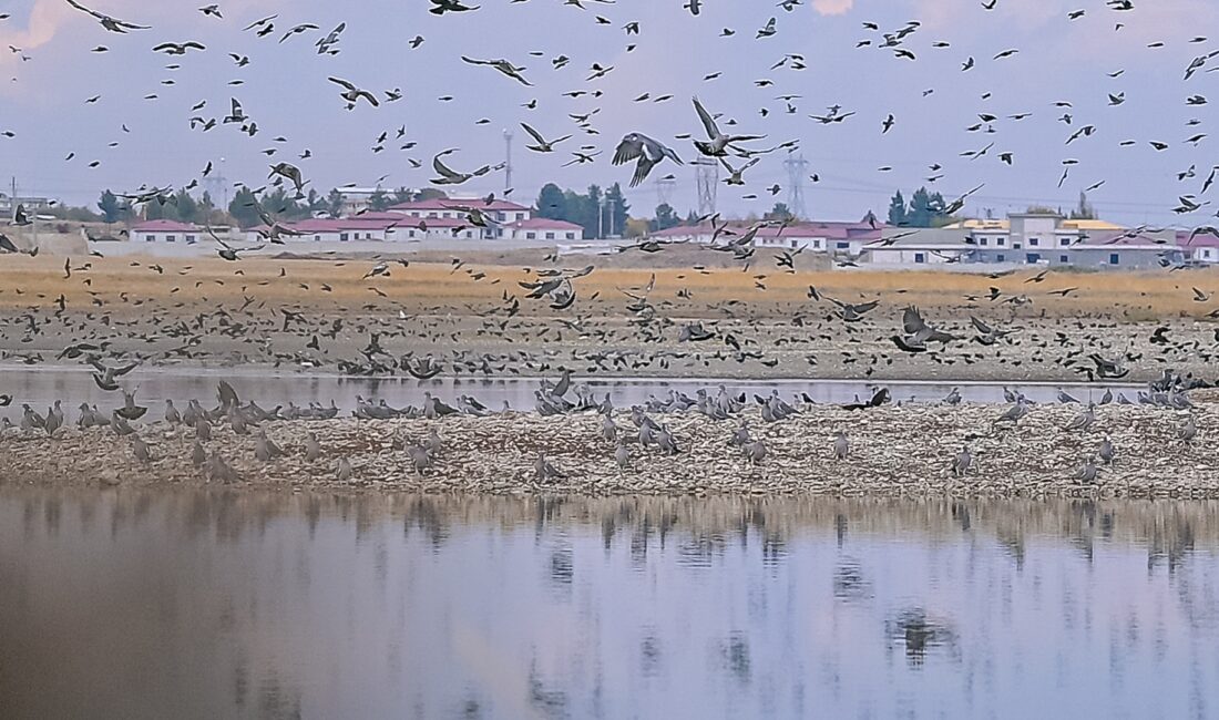 Selim KAYA/DİYARBAKIR, – DİYARBAKIR’da