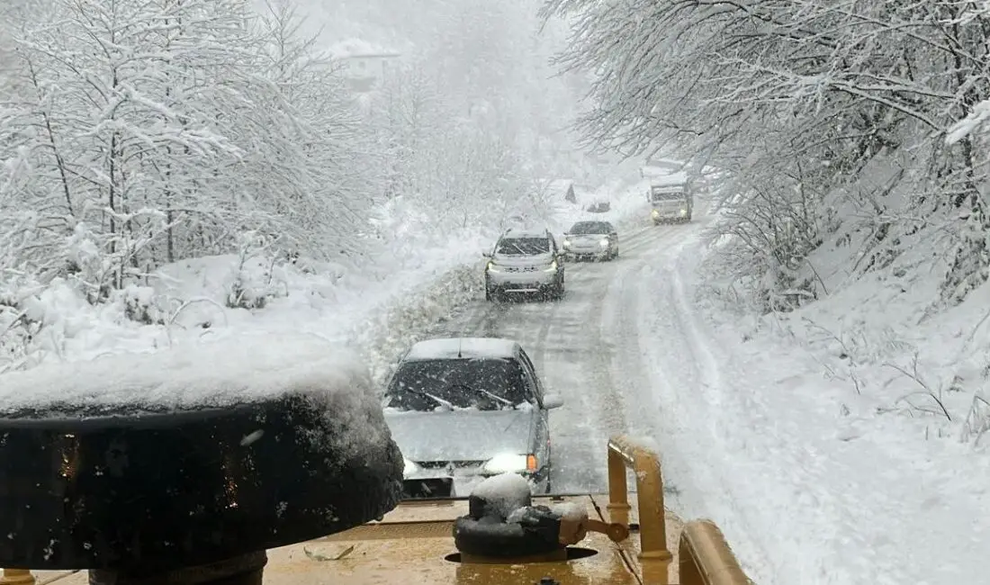 Hakan KABAHASANOĞLU/ GİRESUN, –