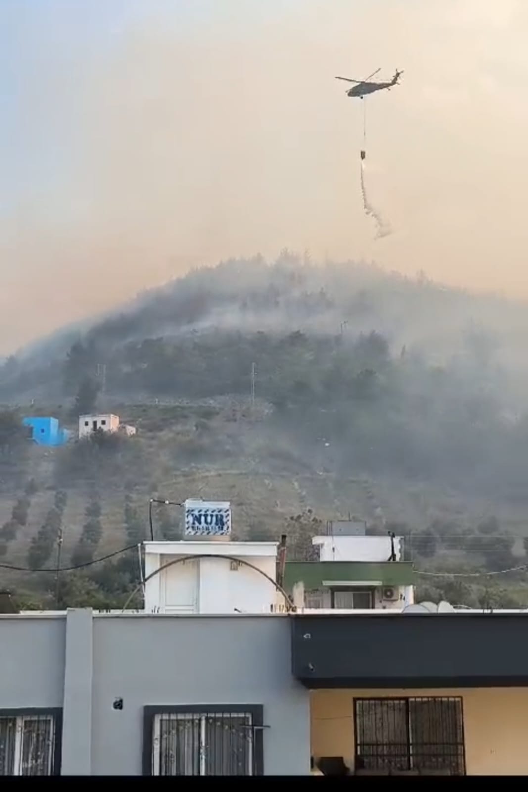 Hatay'da orman yangını (2)