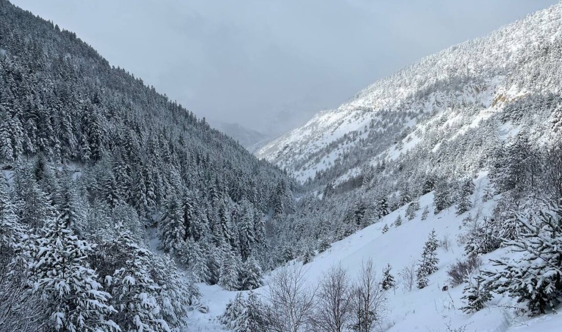 TRABZON, – DOĞU Karadeniz’de