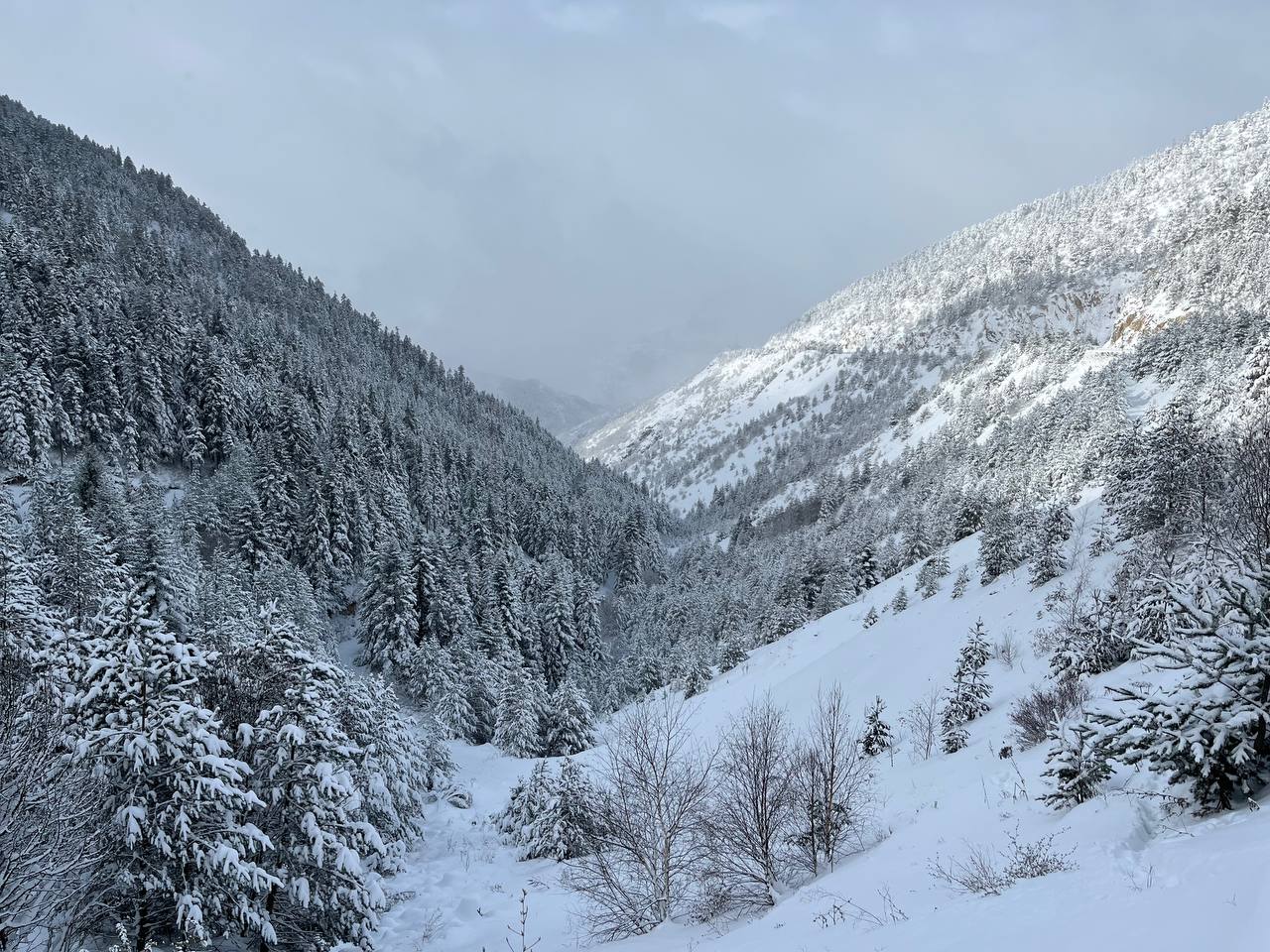 Karadeniz'de kar esareti; 442 köy ve mahalle yolu kapandı, okullar tatil