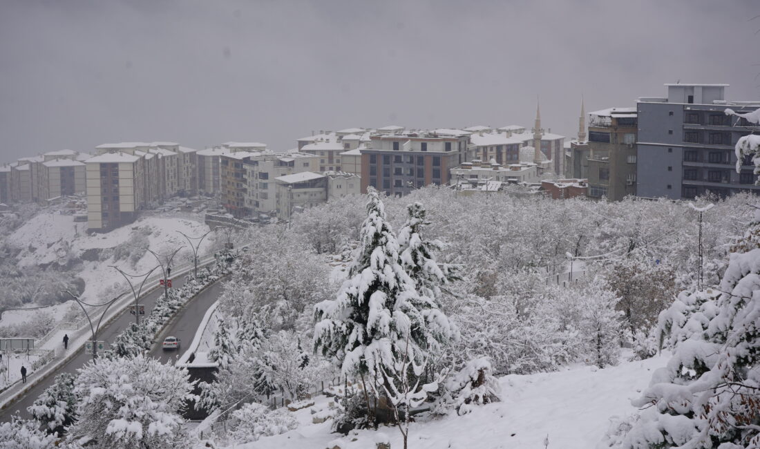 Sekvan KÜDEN/ŞIRNAK, – ŞIRNAK’ta