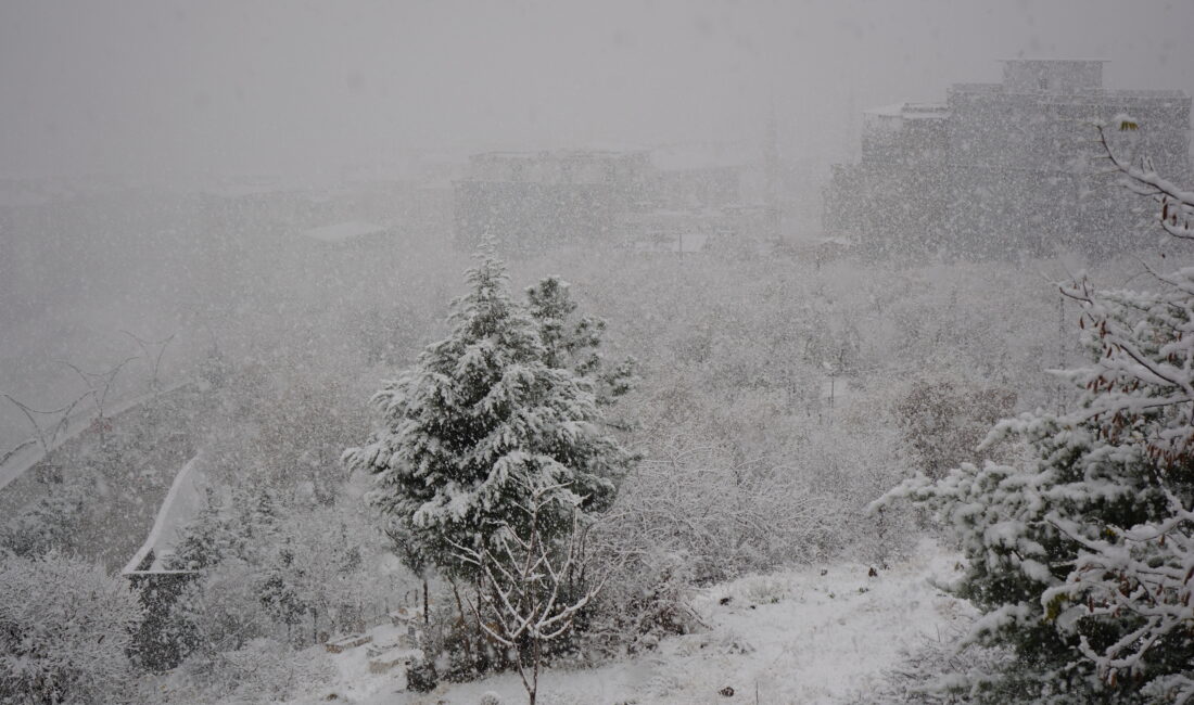 Sekvan KÜDEN/ŞIRNAK, – ŞIRNAK’ta