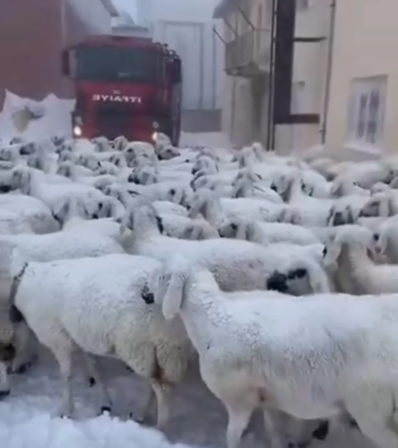 Sivas'ta kar yağışı; 35 yerleşim yeri yolu ulaşıma kapandı (5)