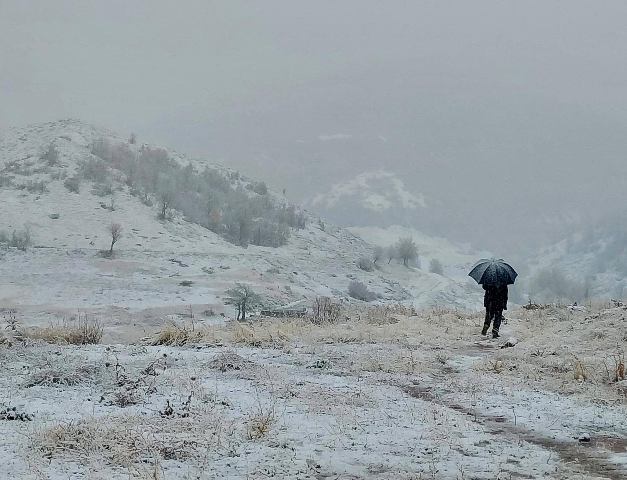 Tunceli'de kar yağışı