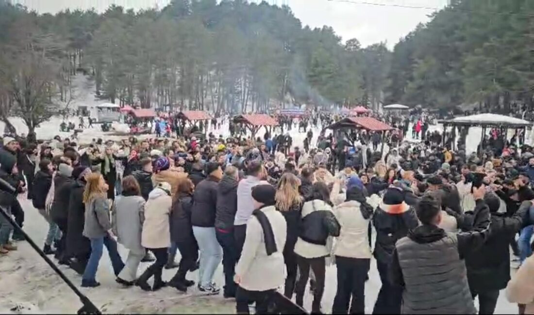 Mutlu YUCA/BOLU, – BOLU’da Abant Gölü Milli Parkı’nda düzenlenen Hamsi