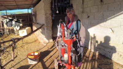 Kadirli ilçesinde süt üreticileri, Ulusal Süt Konseyi’nin açıkladığı fiyattan süt
