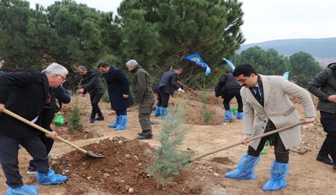 Kahramanmaraş’ın Pazarcık ilçesinde, çevre