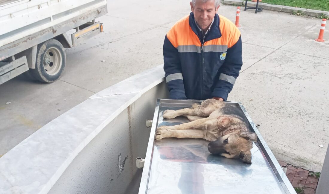 Emre ÖNCEL/YAKAKENT (Samsun), – SAMSUN’da Yakakent Belediyesi’nin 2 personeli, araç