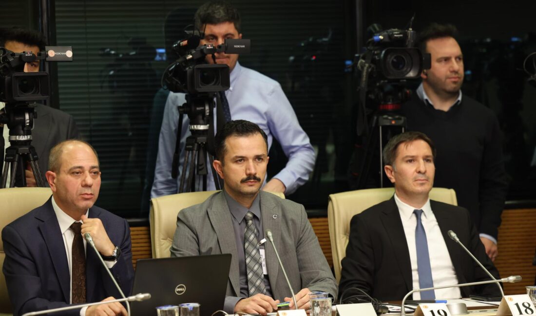ANKARA, – TÜRKİYE İstatistik Kurumu (TÜİK) Demografi İstatistikleri Daire Başkanı