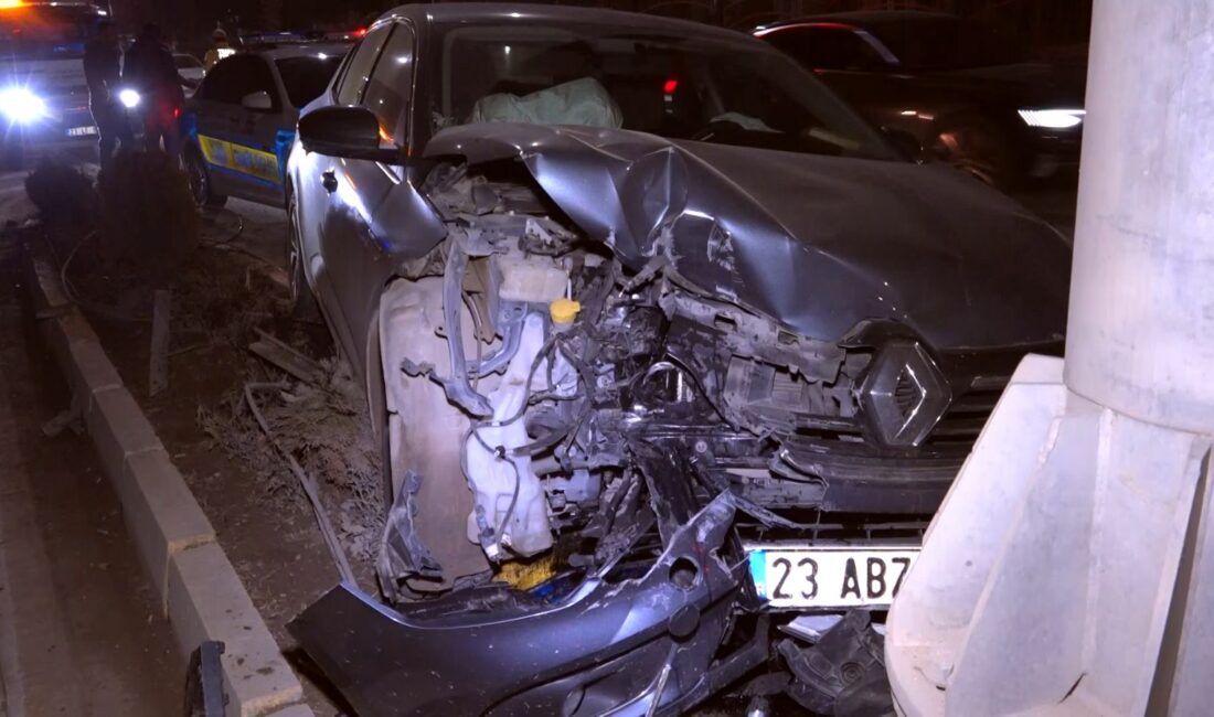 Tekin YALÇINKAYA/ ELAZIĞ, – ELAZIĞ’da aydınlatma direğine ve ağaca çarpan