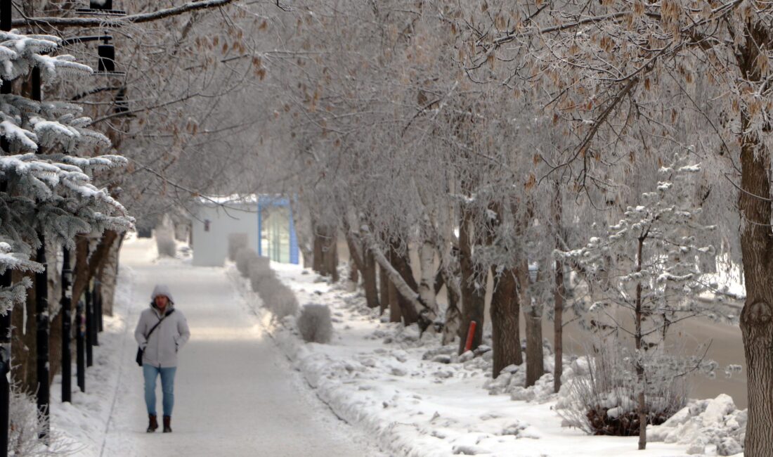 Turgay İPEK/ERZURUM, – ERZURUM’da, sis ve soğuk etkili olurken, kent