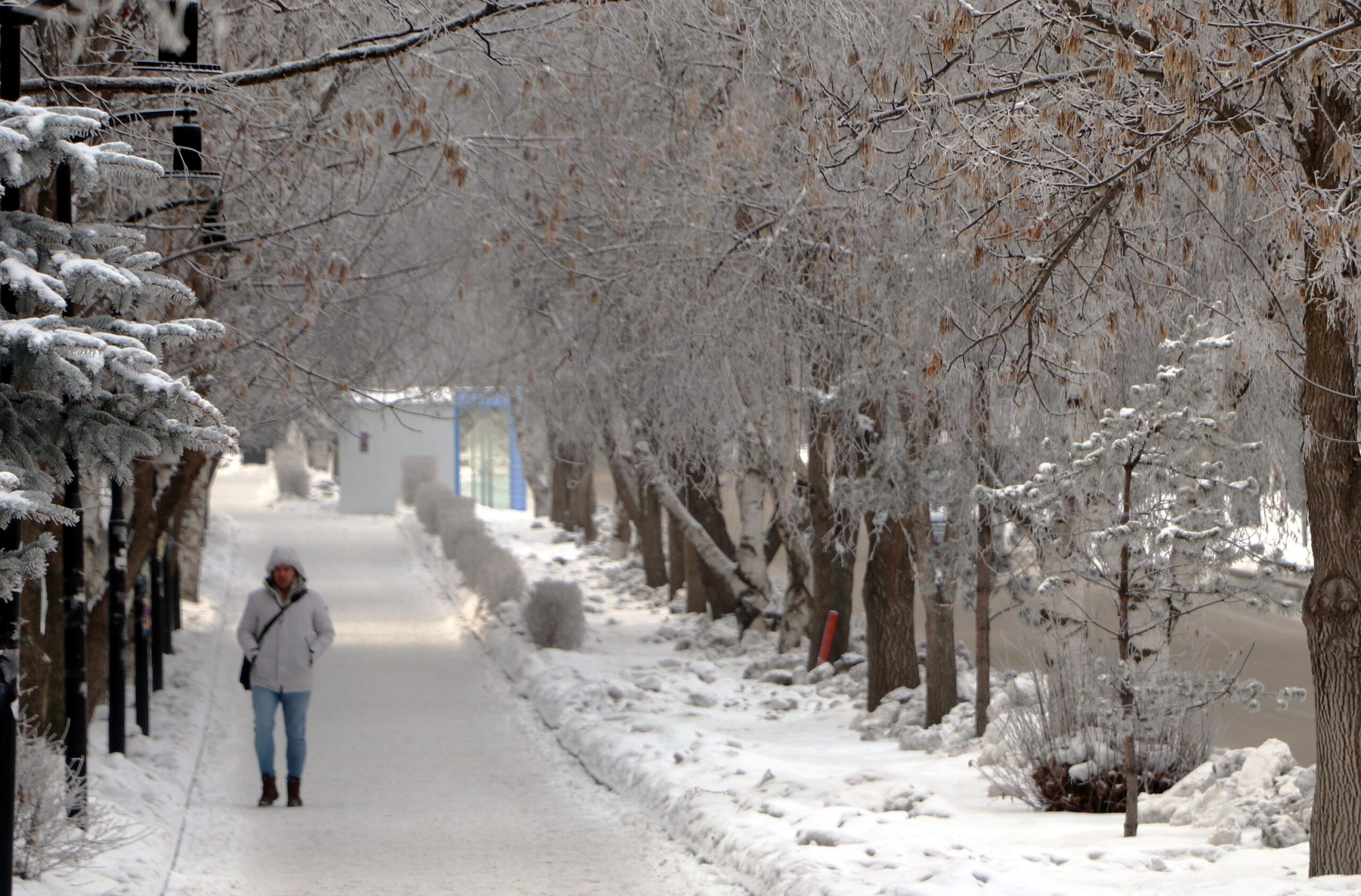 Erzurum'da soğuk hava etkili oluyor Erzurum'da soğuk hava etkili oluyor