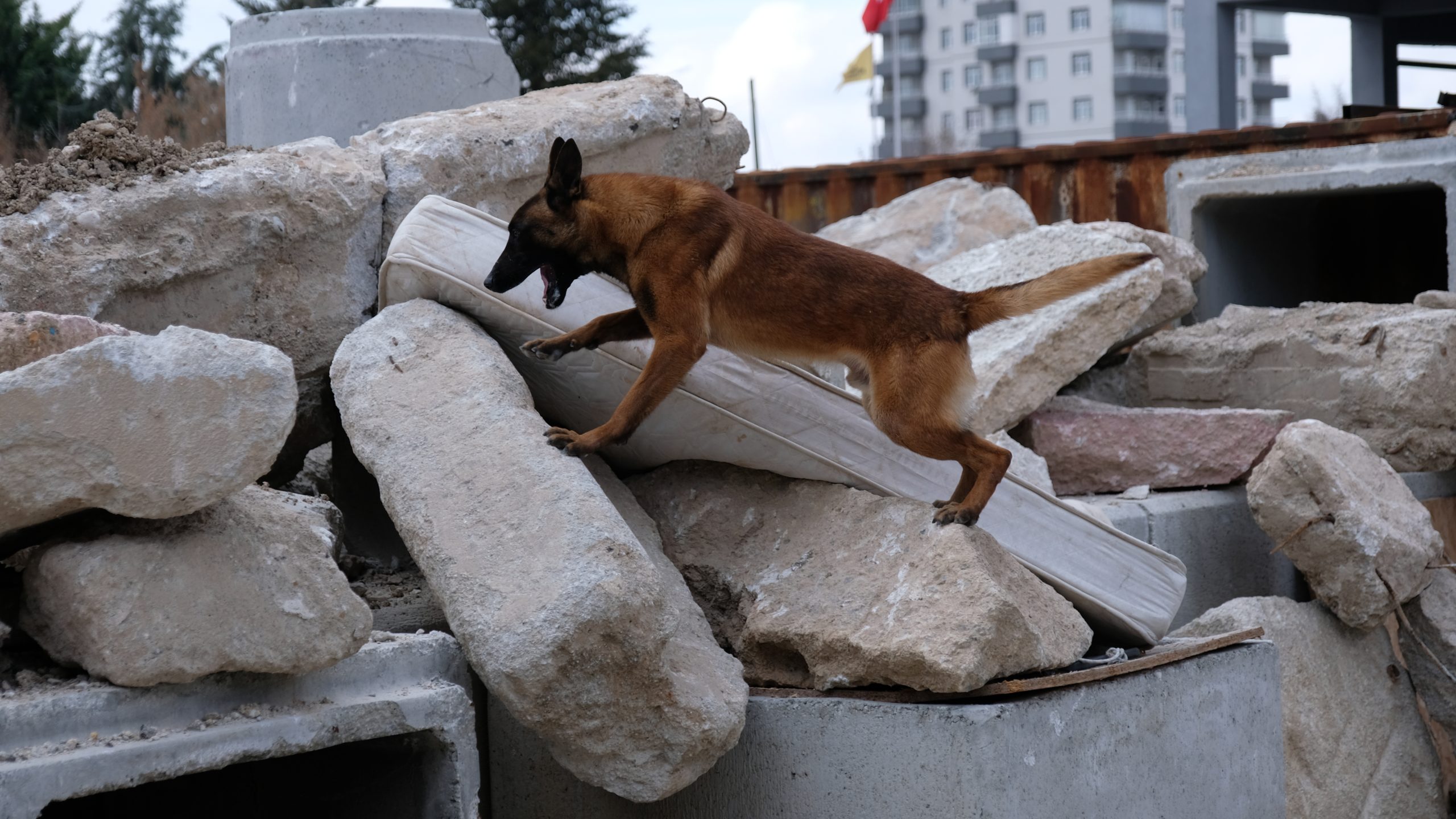 'Ateş', 'Duman' ve 'Atak' afetlere hazırlanıyor