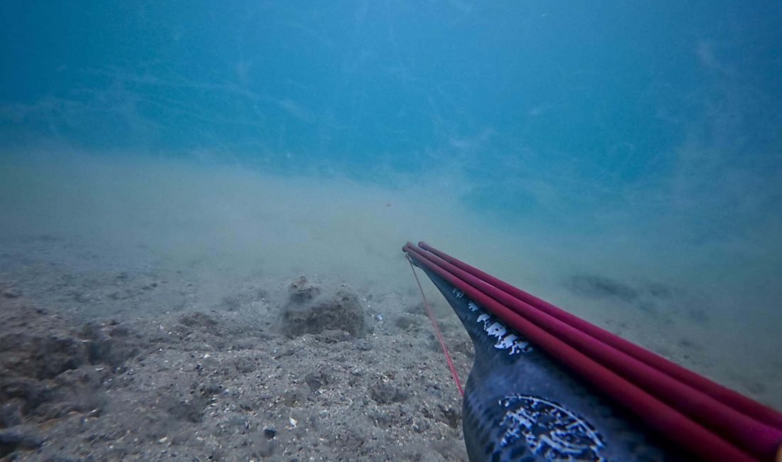 Nazif Cemhan ŞEN/ÇANAKKALE, – ÇANAKKALE Boğazı’nın derinliklerindeki müsilaj yoğunluğu, zıpkınla
