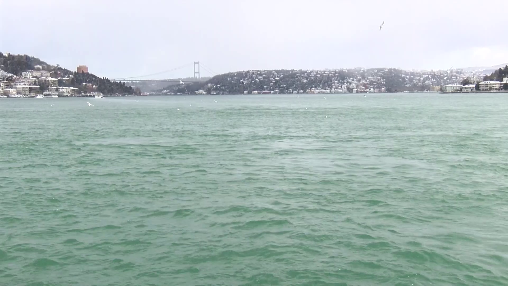 İstanbul İstanbul Boğazı'nda gemi trafiği askıya alındı / Görüntü eklendi