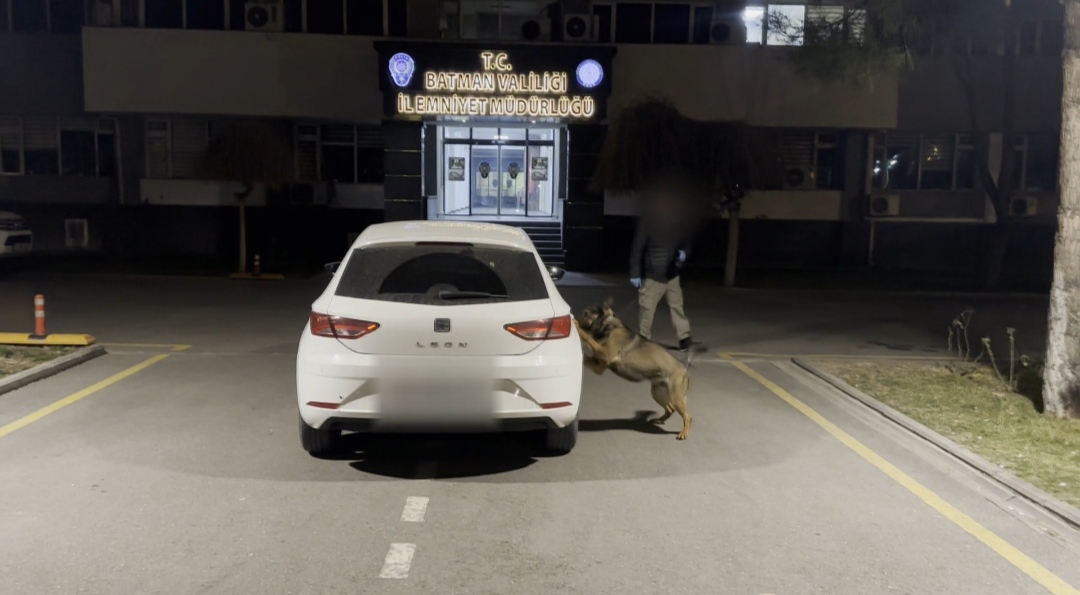 Bayram AYHAN/BATMAN, – BATMAN’da polisin durdurduğu otomobilde narkotik köpeği ‘Mailo’