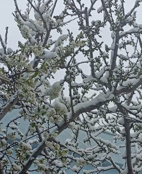 2ea21fd0 d87a 4464 9aa1 ee5f779dfe88