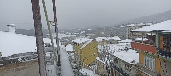 768f4da4 d03f 4a42 955d 9e3c4d72e1e1